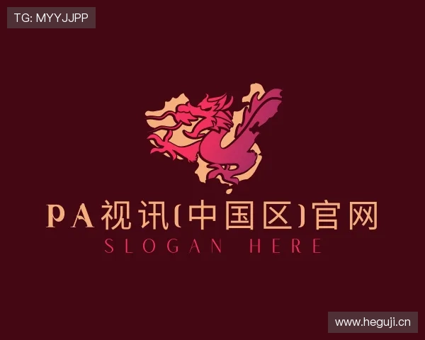 了解PA视讯中国